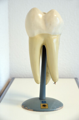 Zahnpraxis Carmen Kessler